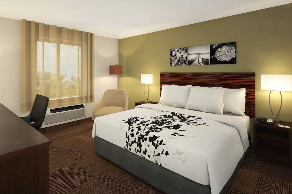 Sleep Inn & Suites Tampa South Bilik gambar